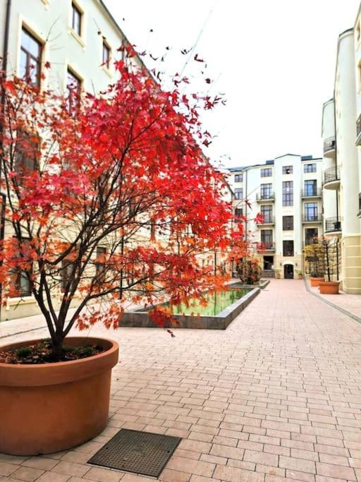 Gold City Point Piotrkowska 37 Lodž Exteriér fotografie